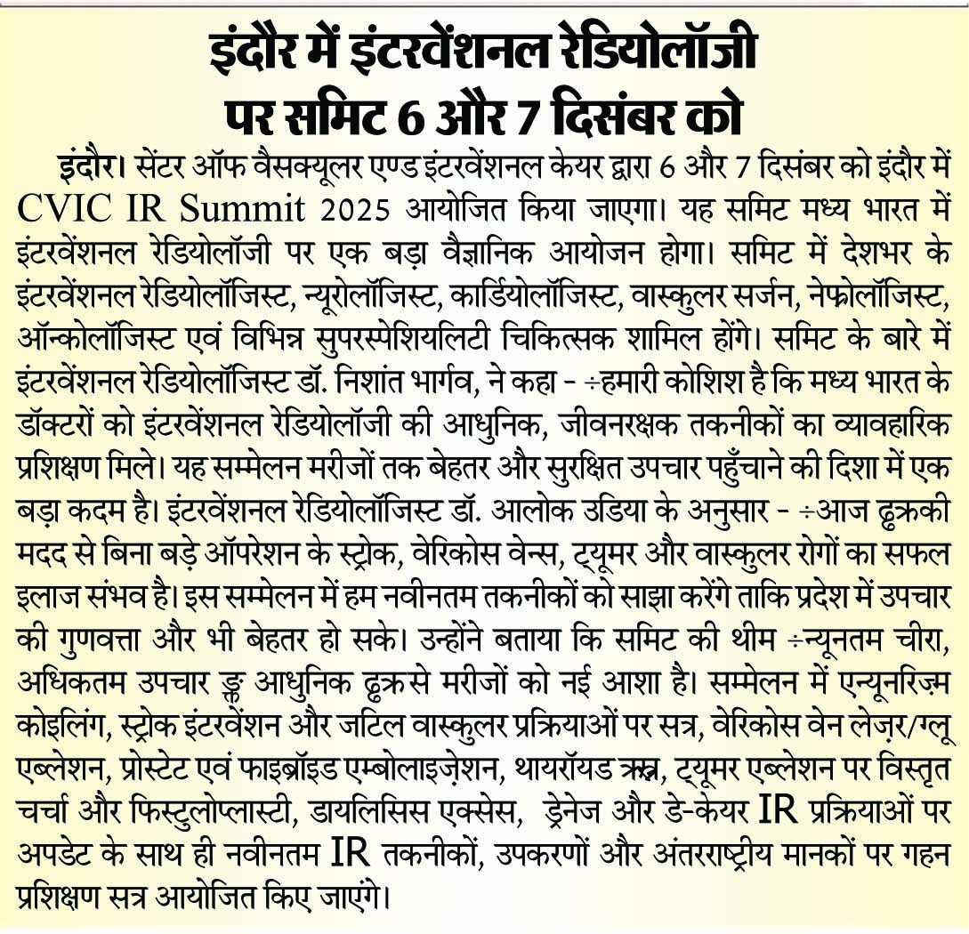 CVIC Summit Newspaper Cutting 3