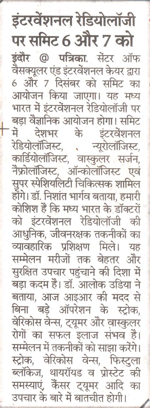 CVIC Summit Newspaper Cutting 5