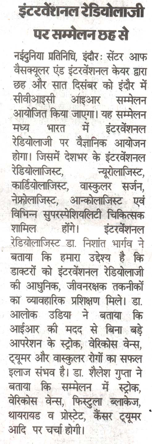 CVIC Summit Newspaper Cutting 7