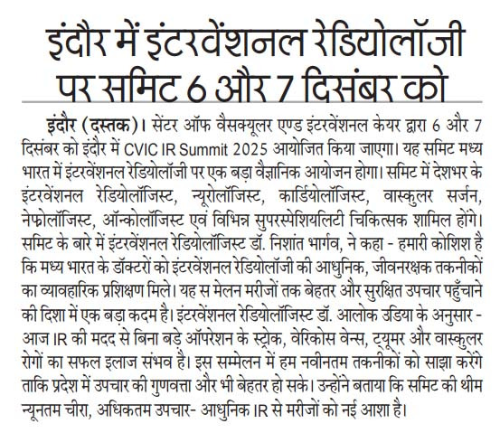 CVIC Summit Newspaper Cutting 7