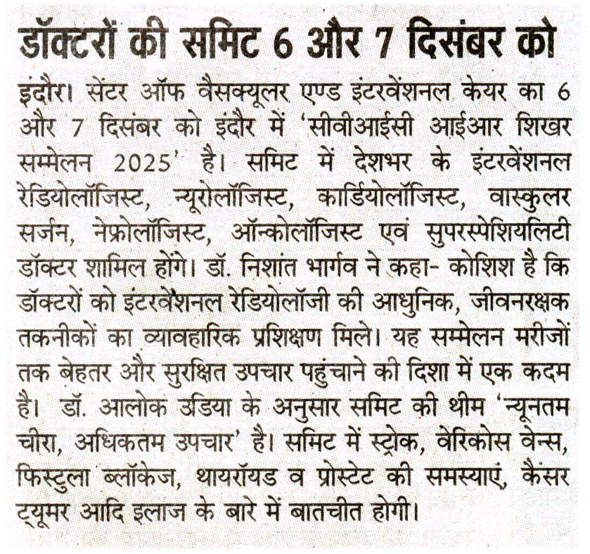 CVIC Summit Newspaper Cutting 7