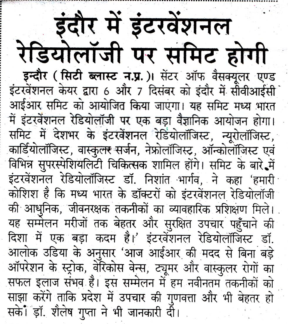 CVIC Summit Newspaper Cutting 7