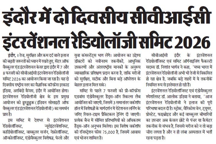 CVIC Summit Newspaper Cutting 3