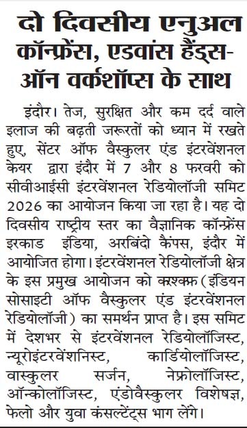 CVIC Summit Newspaper Cutting 2