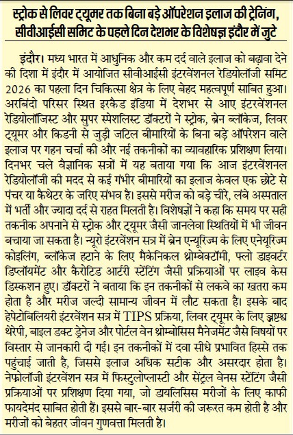 CVIC Summit Newspaper Cutting 11