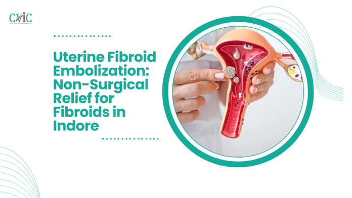 uterine fibroid Embolization