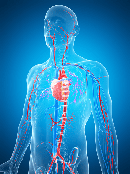 Vascular Radiology Clinic in Indore