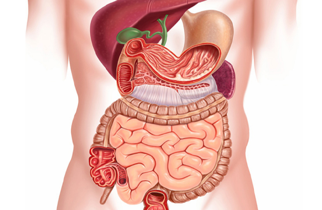 When to Visit a Gastro Doctor