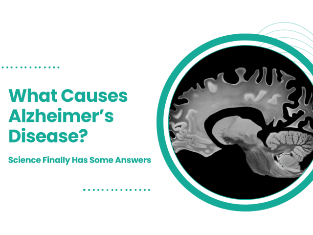 What Causes Alzheimer’s Disease? Science Finally Has Some Answers