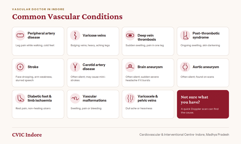 Conditions treated by a vascular doctor in Indore